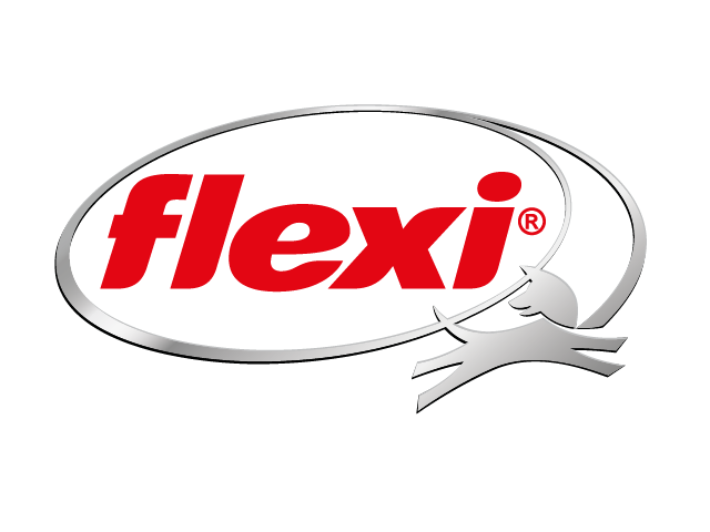 logo_Flexi