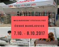 Výstava psů v Českých Budějovicích za účasti značek Barking Heads a Calibra